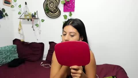 Snapshot of thefenix_jyk chatting on 01/30/25, 04:16 Ariamapola88 online show from 01/30/25, 04:16