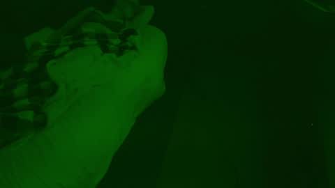 thehungmantis online show from 12/26/24, 04:32