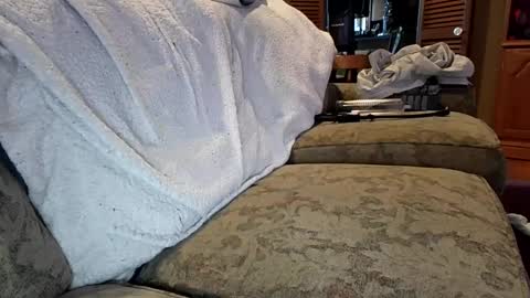 theicecreamguru online show from 10/08/25, 07:55