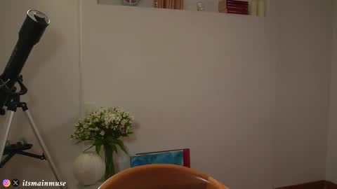 Snapshot of theirismuse chatting on 03/11/26, 11:33 Iris online show from 03/11/26, 11:33