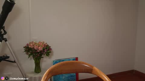 Snapshot of theirismuse chatting on 03/17/26, 11:08 Iris online show from 03/17/26, 11:08