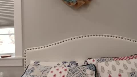 Lacey online show from 12/01/24, 06:19