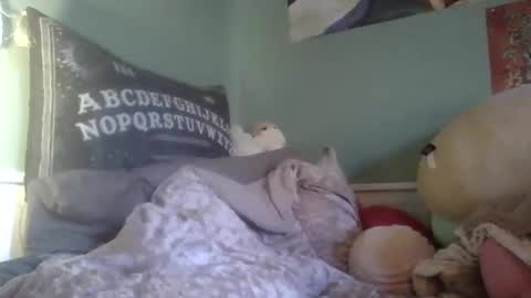 Snapshot of thelittlebambii chatting on 12/13/24, 06:49 Little Bambii online show from 12/13/24, 06:49