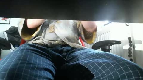 Snapshot of thelittleteaser chatting on 04/20/26, 02:42 thelittleteaser online show from 04/20/26, 02:42