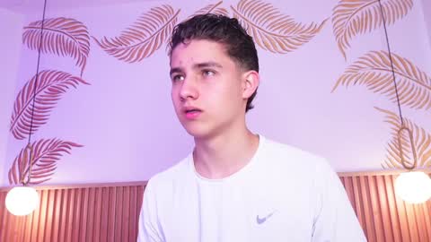 Snapshot of theohawke_ chatting on 01/25/25, 01:52 THEO- MATEO online show from 01/25/25, 01:52