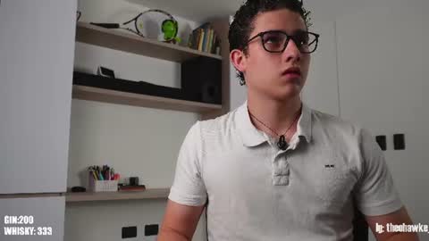 Snapshot of theohawke_ chatting on 07/04/26, 11:11 THEO- MATEO online show from 07/04/26, 11:11