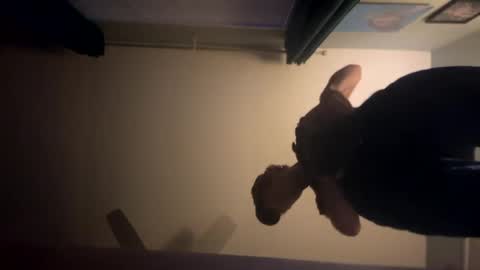 Snapshot of theonlyboi43ver chatting on 01/02/25, 01:49 theonlyboi43ver online show from 01/02/25, 01:49