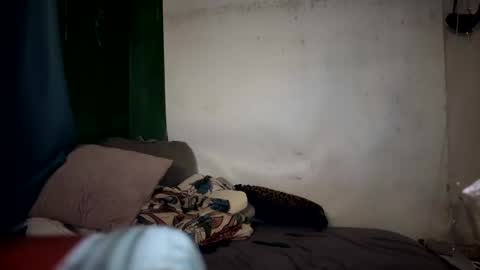 Snapshot of theonlyboi43ver chatting on 01/10/25, 11:39 theonlyboi43ver online show from 01/10/25, 11:39