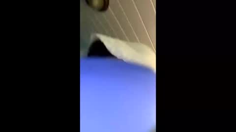 Snapshot of theonlyboi43ver chatting on 11/04/25, 03:33 theonlyboi43ver online show from 11/04/25, 03:33