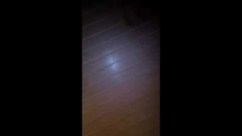 theonlyboi43ver online show from 02/26/26, 08:35