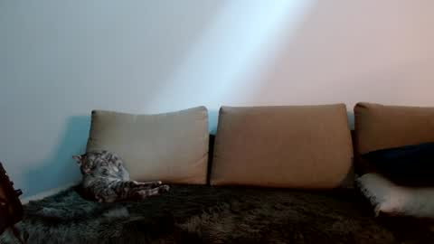 Snapshot of therealkingyoshi chatting on 01/11/25, 09:25 Yoshi online show from 01/11/25, 09:25