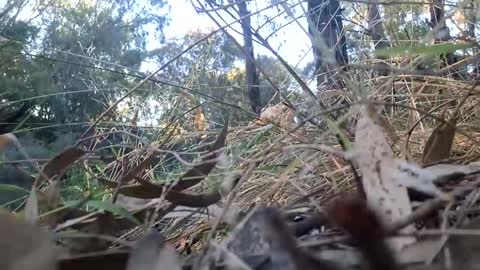 Snapshot of therealkurva4u chatting on 01/02/25, 07:51 therealkurva4u online show from 01/02/25, 07:51