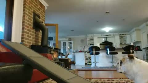 Snapshot of therealkurva4u chatting on 09/25/25, 08:07 therealkurva4u online show from 09/25/25, 08:07