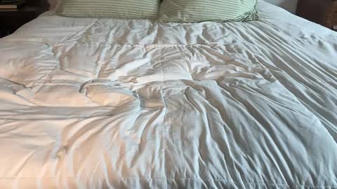 Maya Hill online show from 04/13/26, 03:39