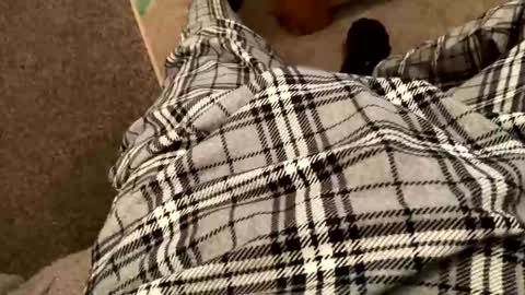 Snapshot of therealpietro77 chatting on 02/05/26, 08:57 therealpietro77 online show from 02/05/26, 08:57