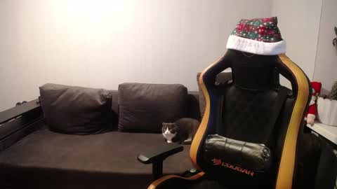 Nick   online show from 12/27/24, 03:59