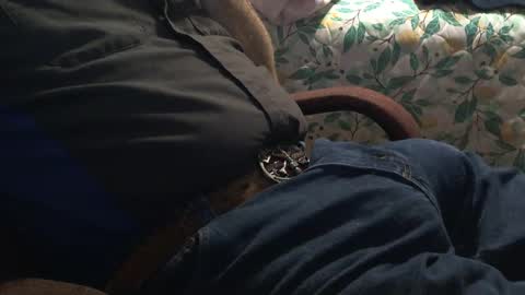 Snapshot of thetnguy chatting on 12/21/24, 12:42 thetnguy online show from 12/21/24, 12:42