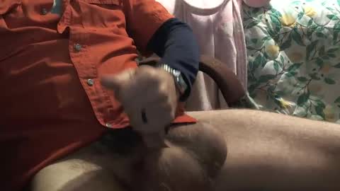 Snapshot of thetnguy chatting on 12/23/24, 06:27 thetnguy online show from 12/23/24, 06:27