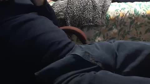 Snapshot of thetnguy chatting on 01/12/25, 03:17 thetnguy online show from 01/12/25, 03:17