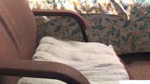 Snapshot of thetnguy chatting on 04/20/26, 12:46 thetnguy online show from 04/20/26, 12:46