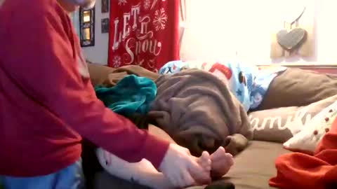 mellow online show from 12/28/24, 12:04