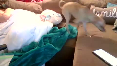 mellow online show from 02/05/25, 03:55