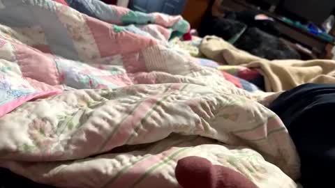 thickdic44 online show from 02/12/25, 06:40