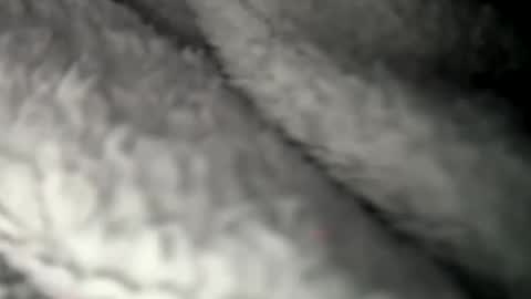 Snapshot of thickuncut7148704 chatting on 02/07/25, 09:16 thickuncut7148704 online show from 02/07/25, 09:16