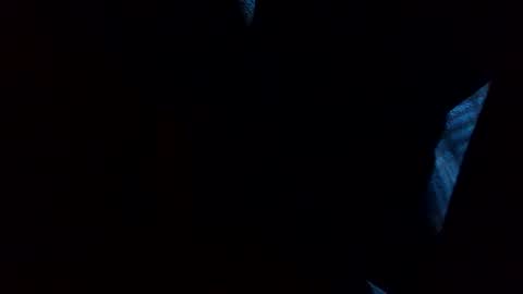 thisdixforyou online show from 12/31/24, 07:40