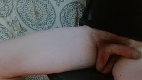 Snapshot of thiswillbefun783025 chatting on 02/04/26, 12:05 thiswillbefun783025 online show from 02/04/26, 12:05