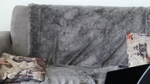 Snapshot of thorclarck_ chatting on 01/08/25, 05:26 Sebastian online show from 01/08/25, 05:26