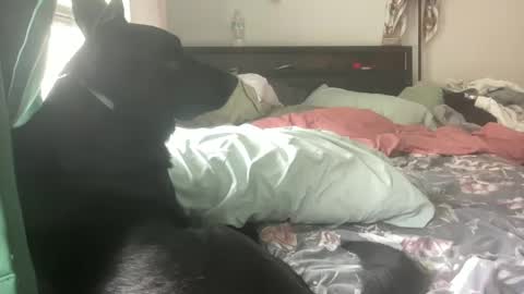 throatyygoat online show from 09/21/25, 06:53