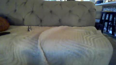 Snapshot of throbbing_jim chatting on 08/01/26, 04:12 Jim online show from 08/01/26, 04:12
