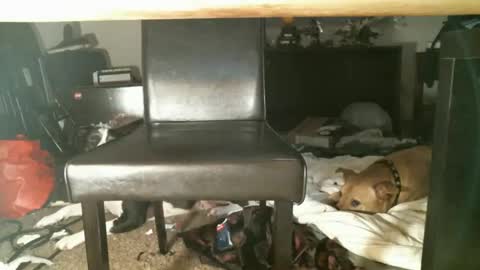 Snapshot of thumperdlj chatting on 10/27/25, 01:15 Thumper online show from 10/27/25, 01:15