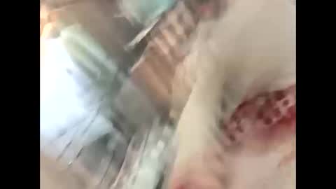 thunder8u42 online show from 10/10/25, 12:37