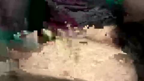 Snapshot of thunderbird2696 chatting on 04/12/26, 04:23 thunderbird2696 online show from 04/12/26, 04:23