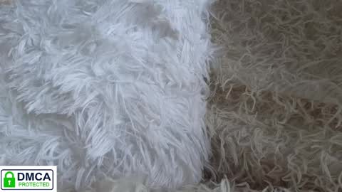 tia_j online show from 01/16/25, 11:58