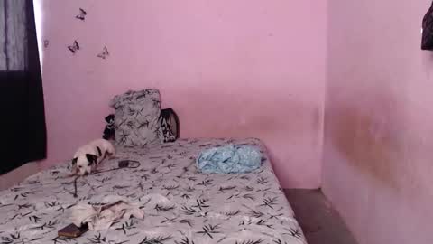 Tiana online show from 11/06/25, 09:37