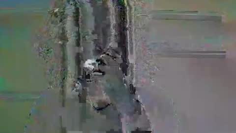 Snapshot of tifa_lockheart chatting on 04/11/26, 11:03 tifa_lockheart online show from 04/11/26, 11:03