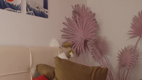 tiffanyjons online show from 02/28/25, 12:21