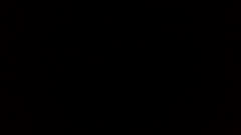 tiff online show from 12/19/24, 12:02