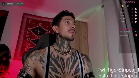 Snapshot of tigerstripes_ chatting on 03/09/26, 04:27 Chris online show from 03/09/26, 04:27