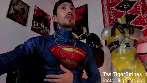 Snapshot of tigerstripes_ chatting on 03/21/26, 04:50 Chris online show from 03/21/26, 04:50