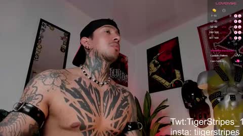 Snapshot of tigerstripes_ chatting on 03/24/26, 02:55 Chris online show from 03/24/26, 02:55