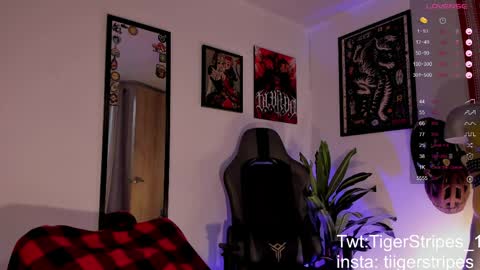 Snapshot of tigerstripes_ chatting on 03/25/26, 12:55 Chris online show from 03/25/26, 12:55