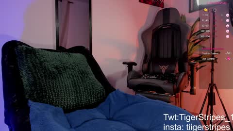 Snapshot of tigerstripes_ chatting on 03/28/26, 11:32 Chris online show from 03/28/26, 11:32