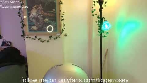 Snapshot of tiggerrosey chatting on 04/14/26, 06:36 All my Links online show from 04/14/26, 06:36