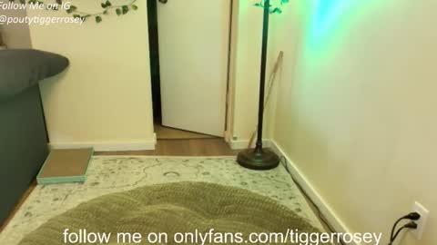 Snapshot of tiggerrosey chatting on 04/21/26, 06:01 All my Links online show from 04/21/26, 06:01