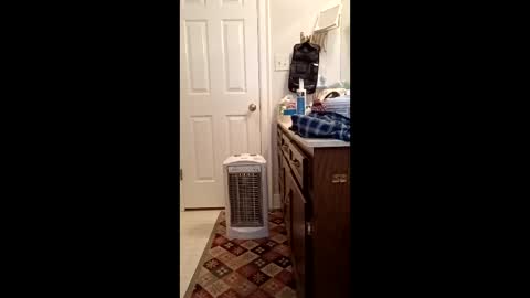 timb800000 online show from 01/11/26, 03:28