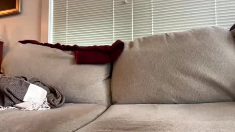 Snapshot of time4fun8837 chatting on 02/15/26, 07:32 time4fun8837 online show from 02/15/26, 07:32